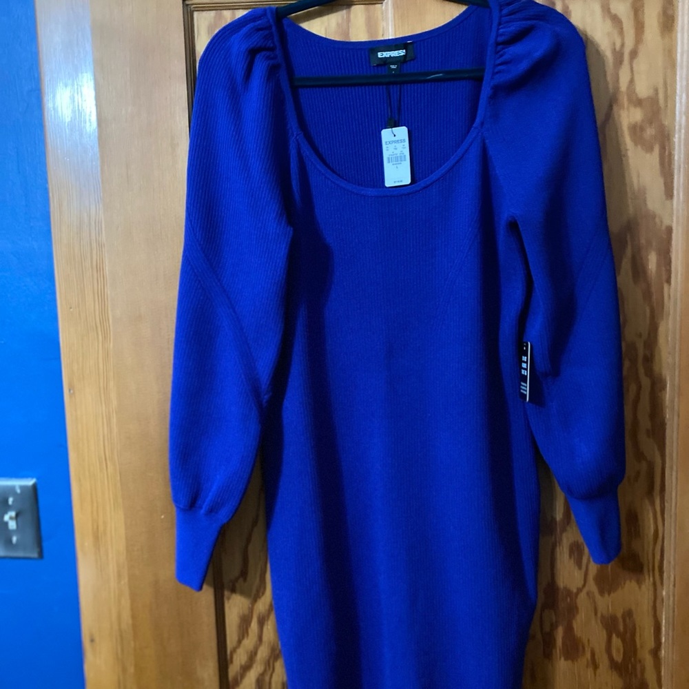 Express rib knit form fitting dress